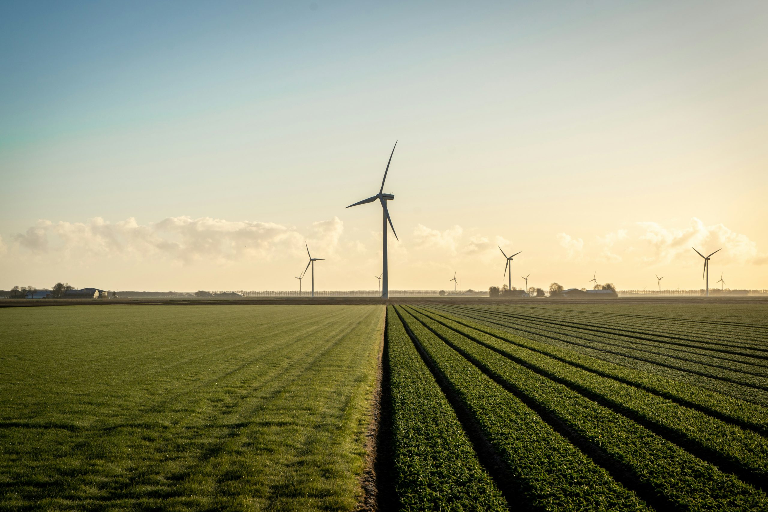 The State-Level Strategy for Meeting Energy Demand
