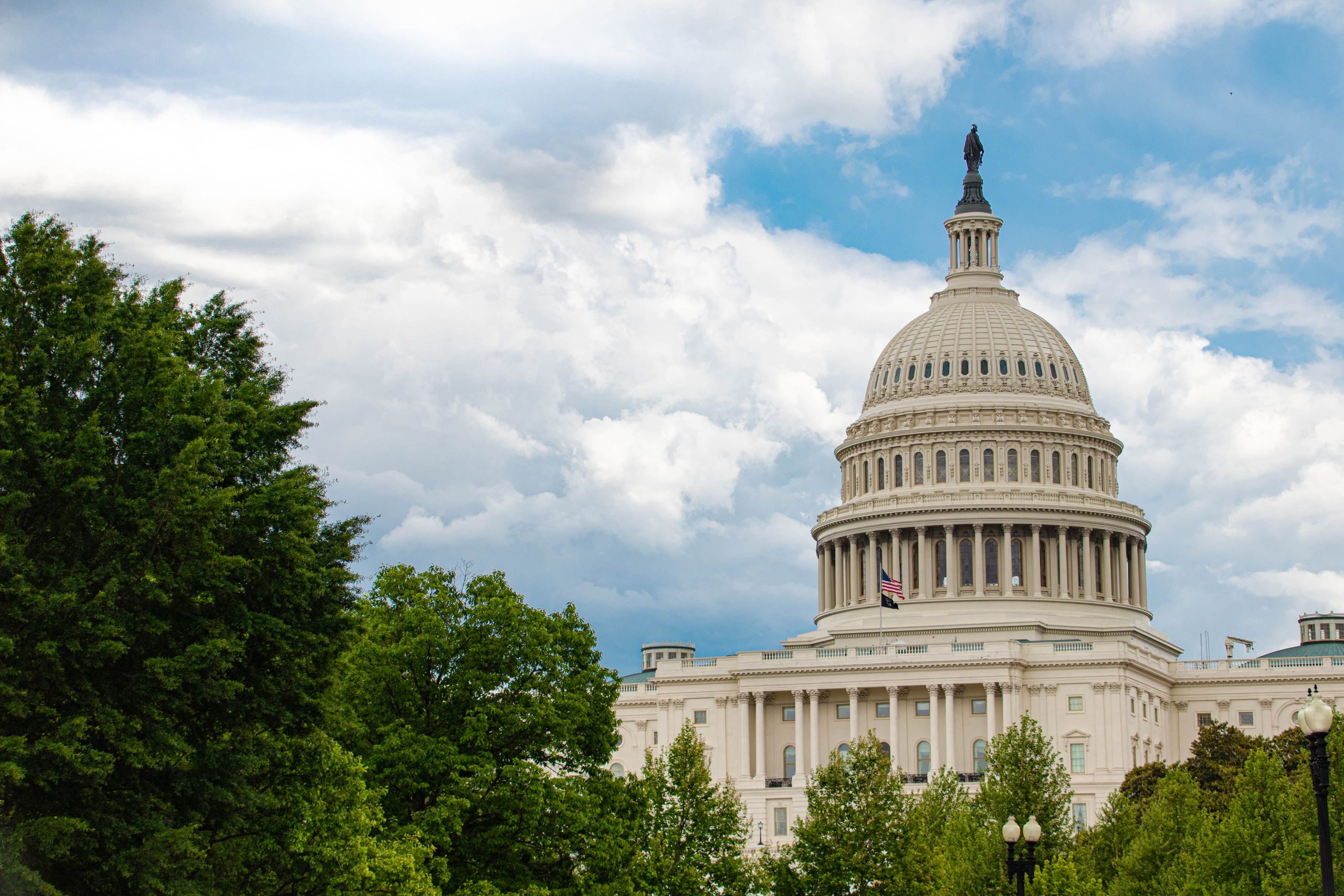 What Good Are Policy Wizards Without Political Whisperers?